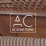 AC Giant Piano Anthony Catacoli